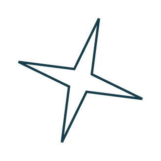 Star icon